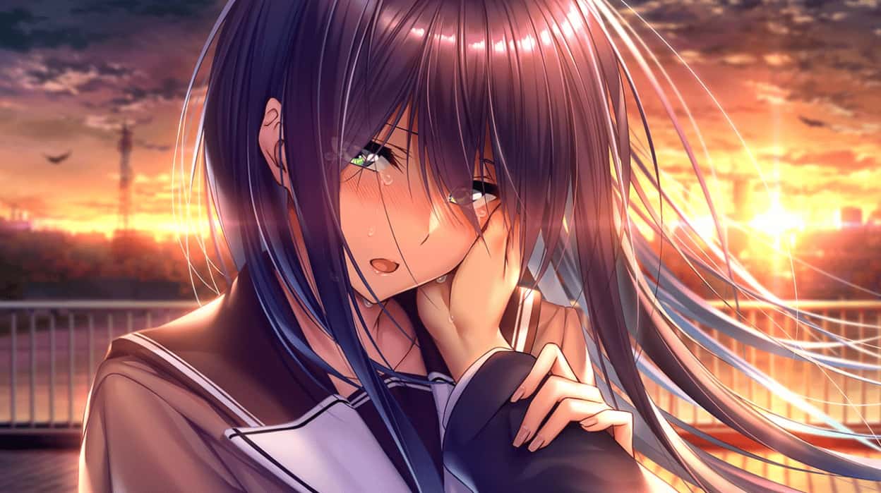 甜蜜女友2～Perfect Edition～ 版游戏封面